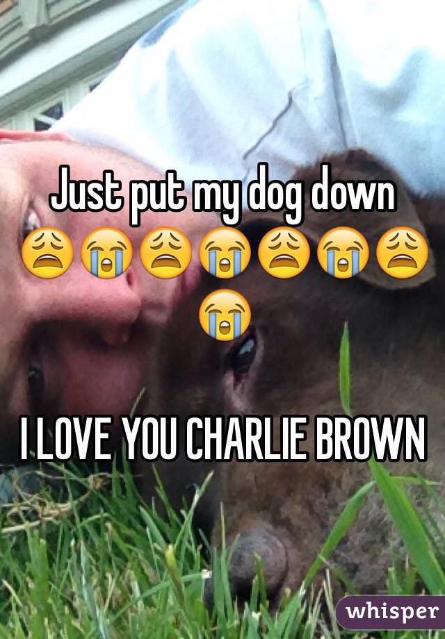 Just put my dog down 
😩😭😩😭😩😭😩😭

I LOVE YOU CHARLIE BROWN 