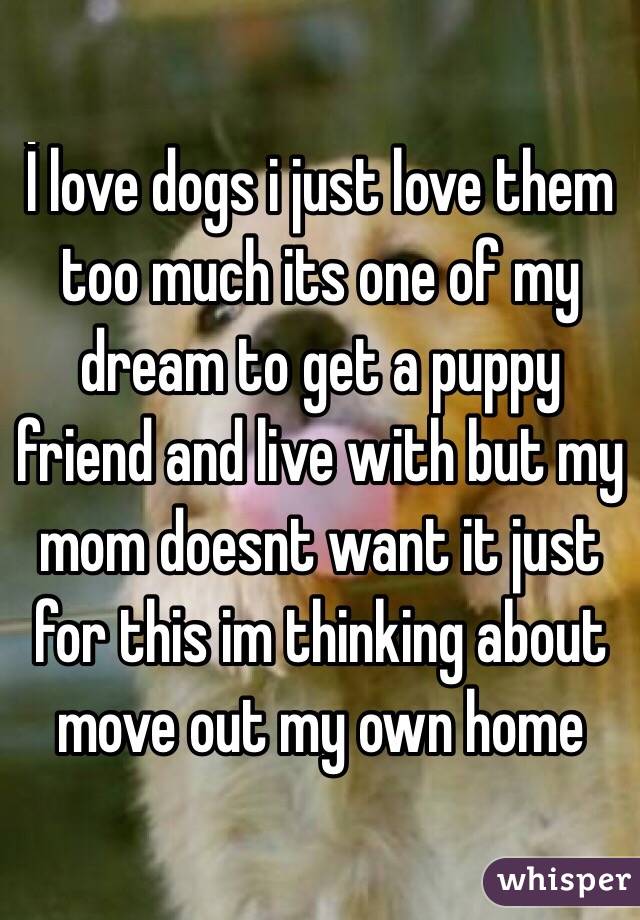 İ love dogs i just love them too much its one of my dream to get a puppy friend and live with but my mom doesnt want it just for this im thinking about move out my own home 