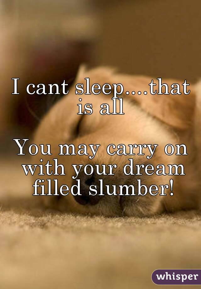 I cant sleep....that is all 

You may carry on with your dream filled slumber!