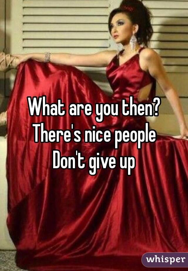 What are you then?
There's nice people 
Don't give up
