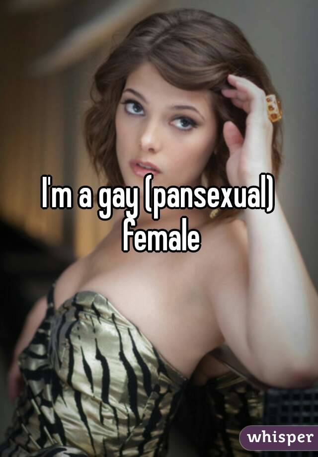 I'm a gay (pansexual) female