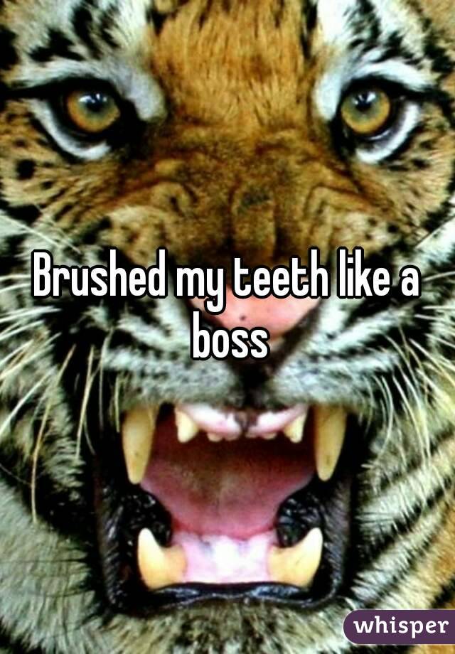 Brushed my teeth like a boss