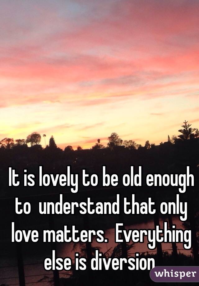 It is lovely to be old enough to  understand that only love matters.  Everything else is diversion. 