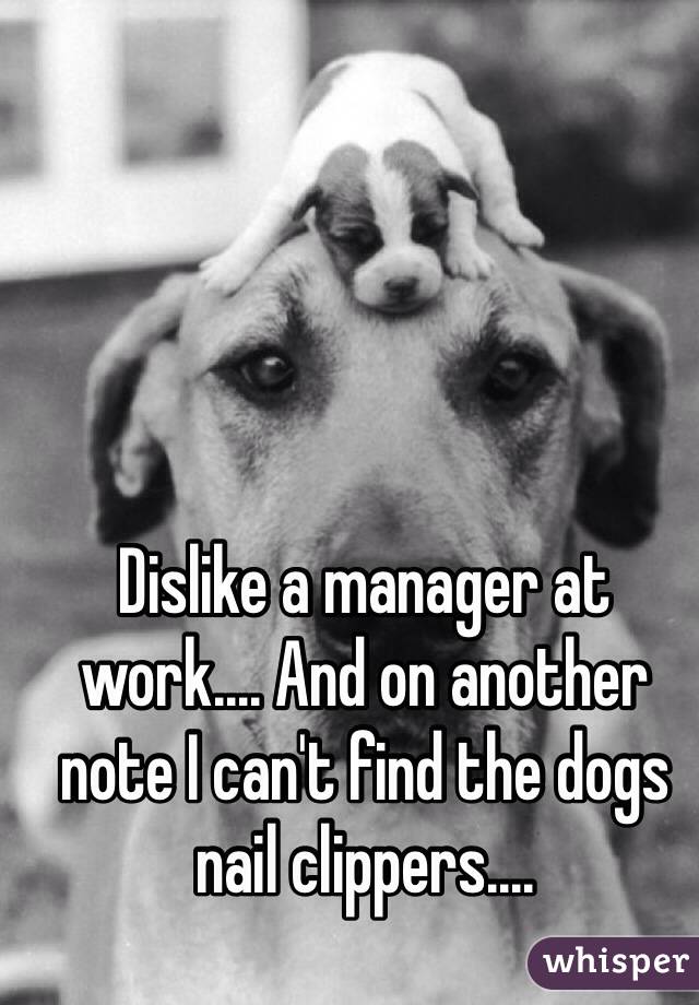 Dislike a manager at work.... And on another note I can't find the dogs nail clippers....
