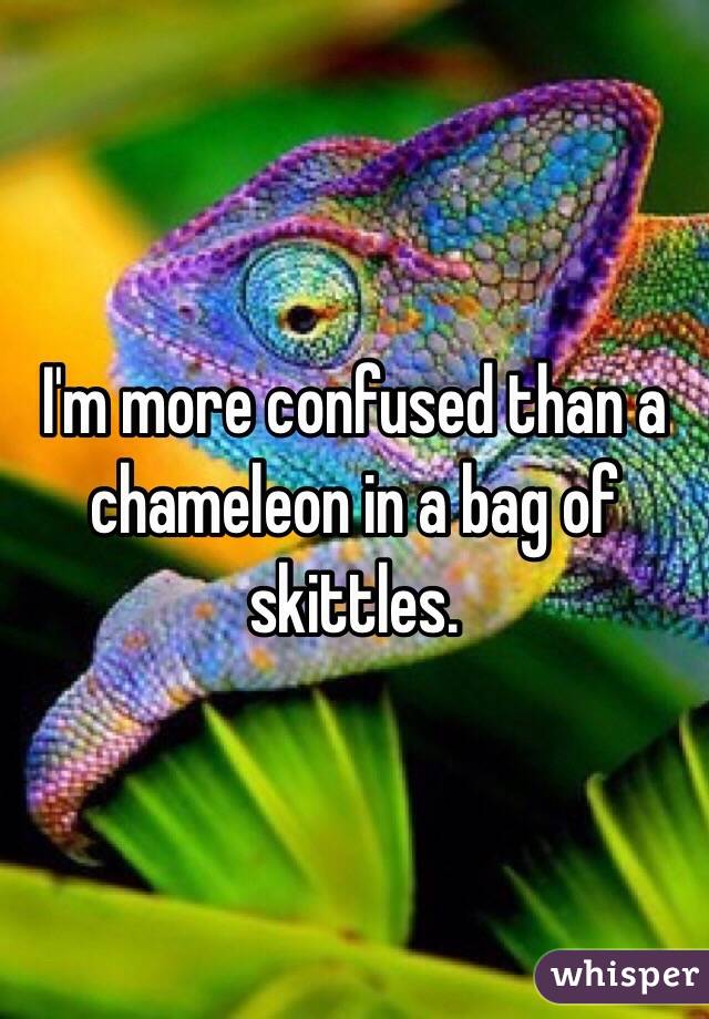 I'm more confused than a chameleon in a bag of skittles.