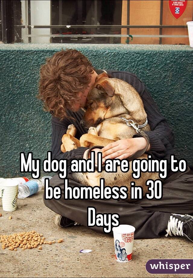 My dog and I are going to be homeless in 30
Days