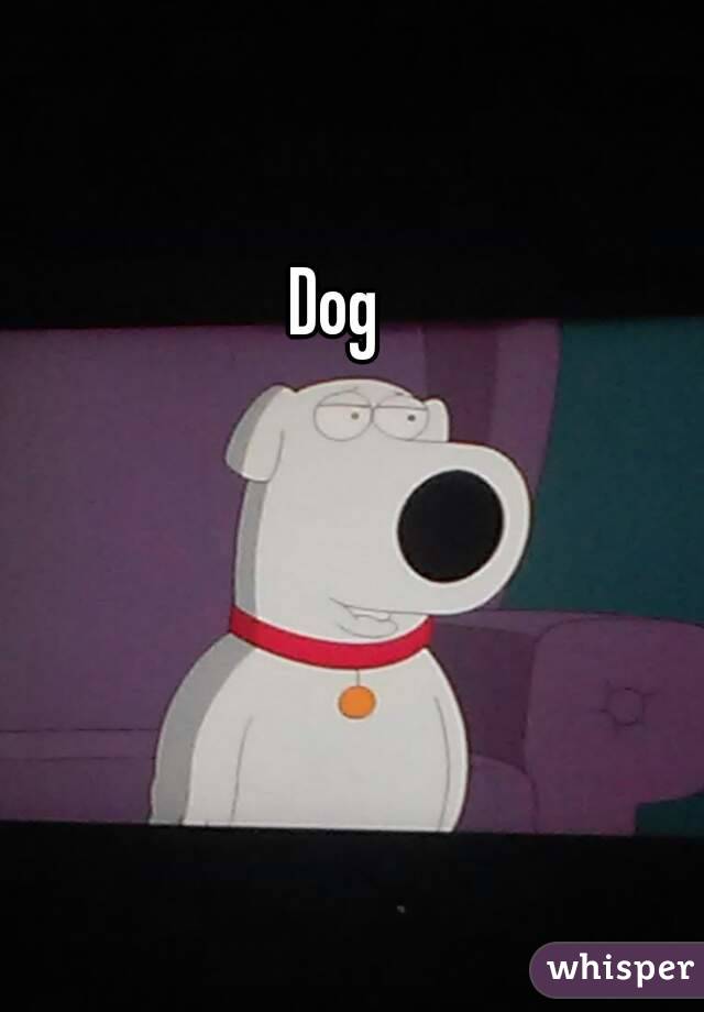 Dog 
