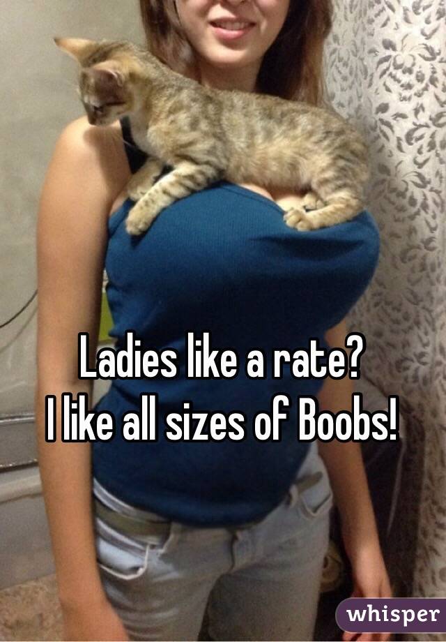 Ladies like a rate? 
I like all sizes of Boobs!
