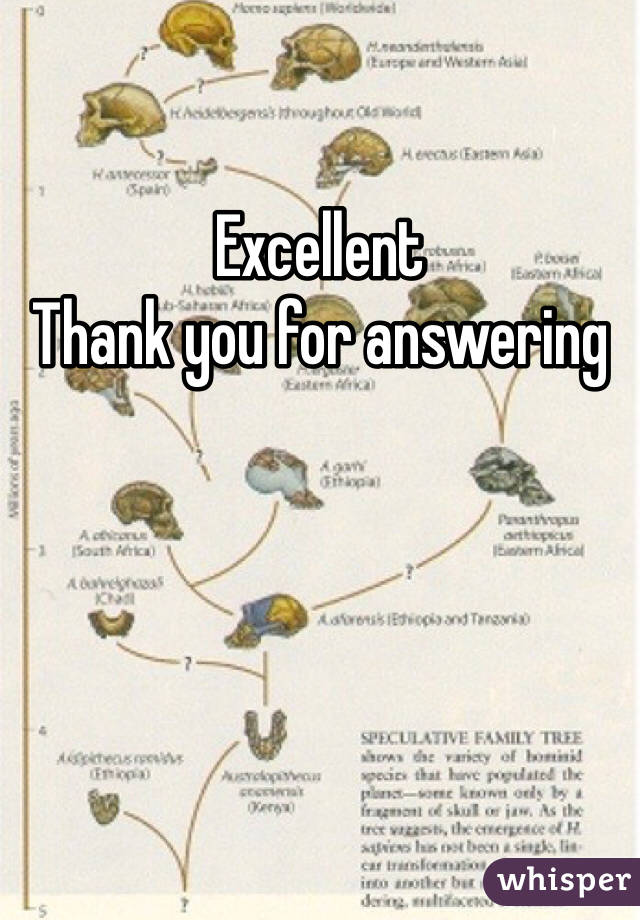 Excellent 
Thank you for answering 