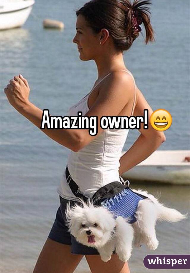 Amazing owner!😄