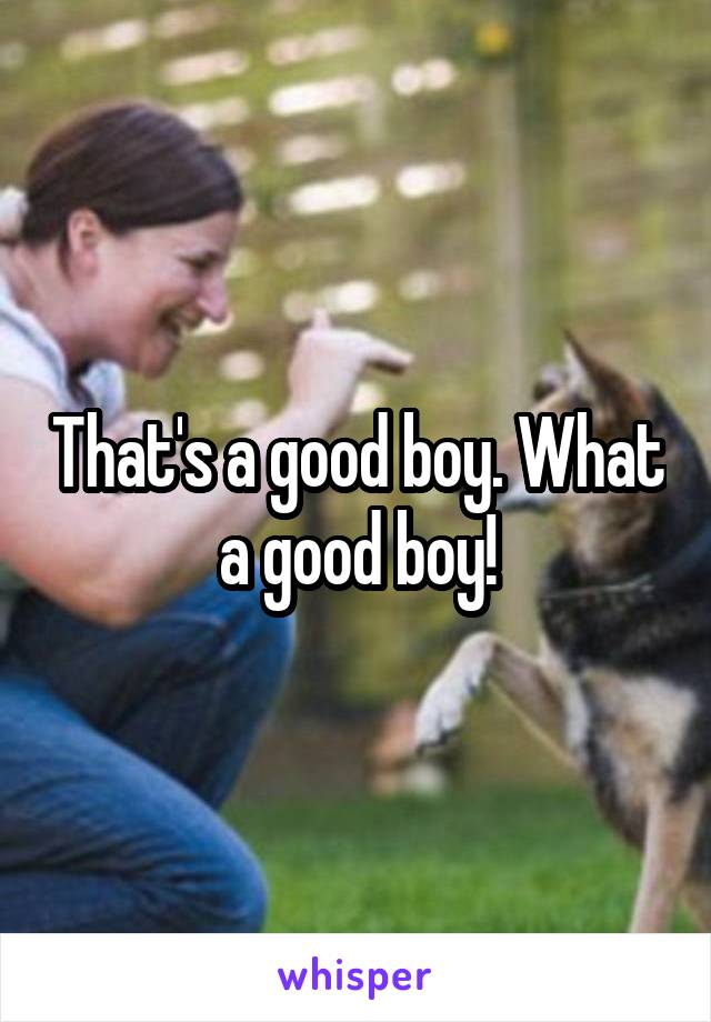 That's a good boy. What a good boy!