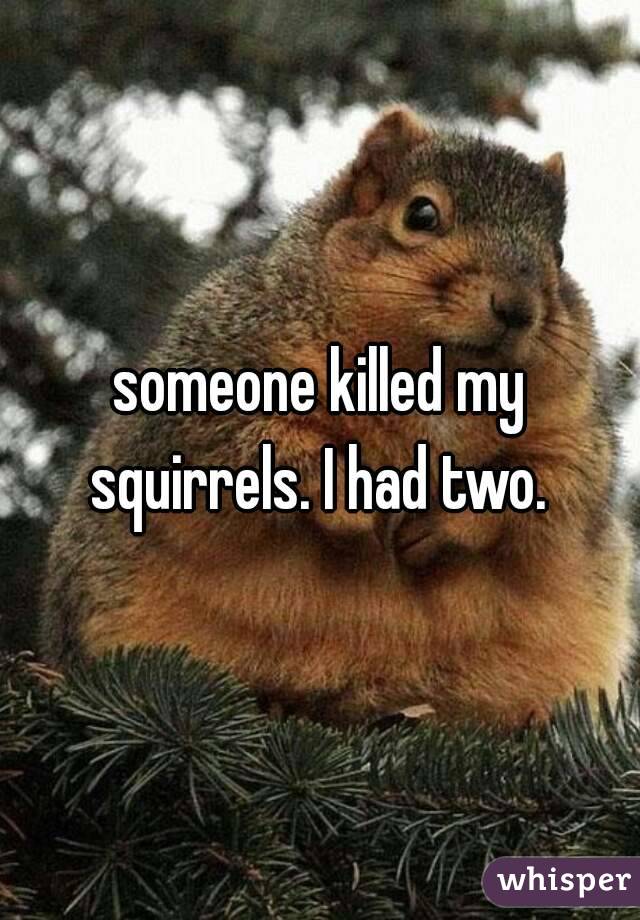 someone killed my squirrels. I had two. 