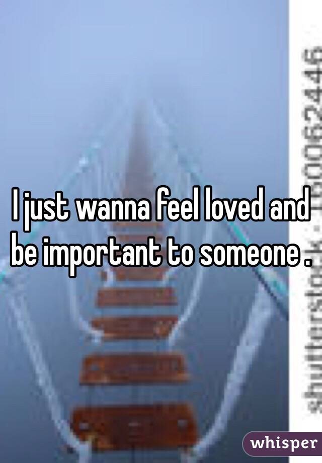 I just wanna feel loved and be important to someone .