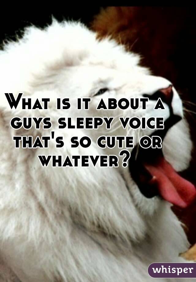 What is it about a guys sleepy voice that's so cute or whatever? 