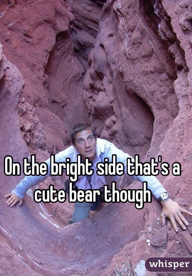 On the bright side that's a cute bear though