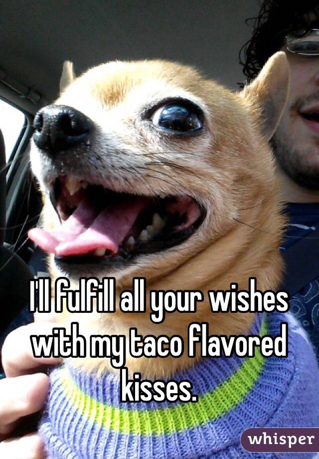 I'll fulfill all your wishes with my taco flavored kisses.  
