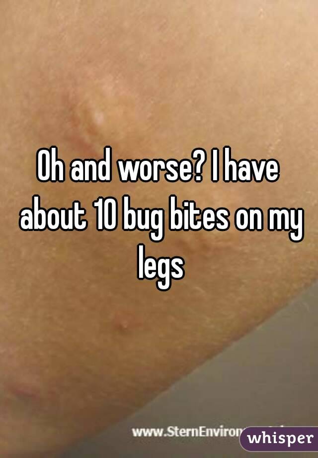 Oh and worse? I have about 10 bug bites on my legs