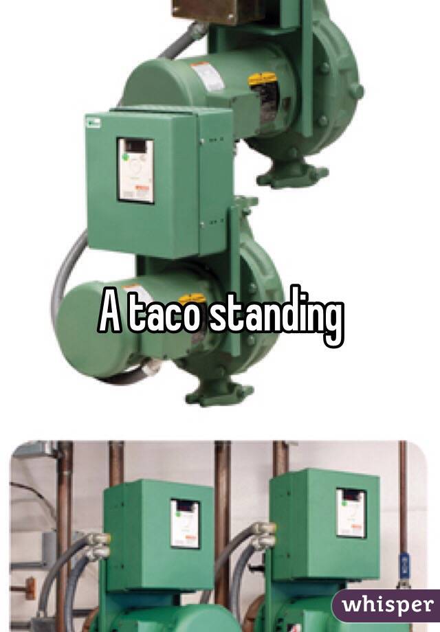 A taco standing 
