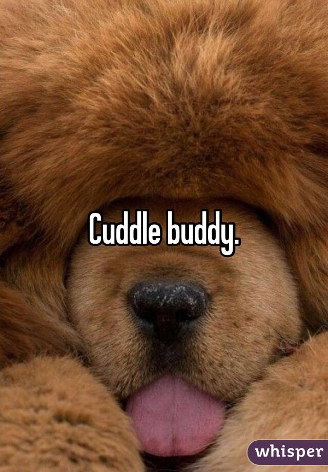 Cuddle buddy.