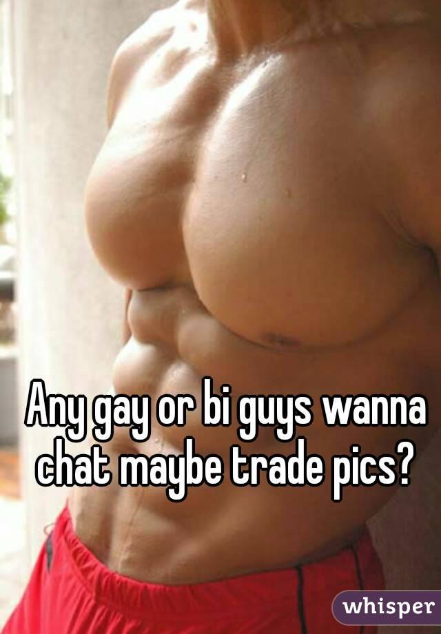 Any gay or bi guys wanna chat maybe trade pics? 