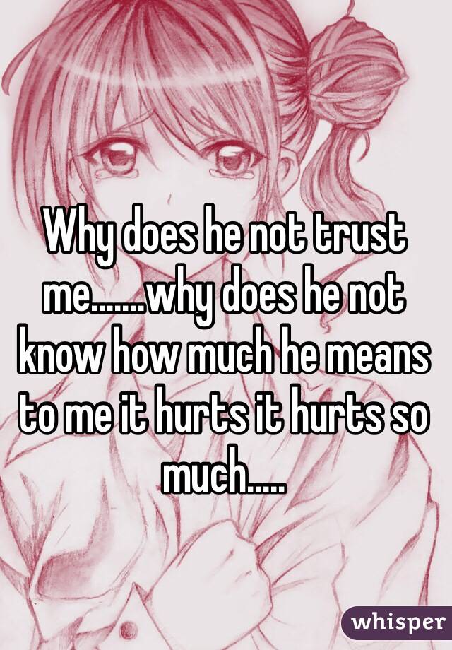Why does he not trust me.......why does he not know how much he means to me it hurts it hurts so much.....