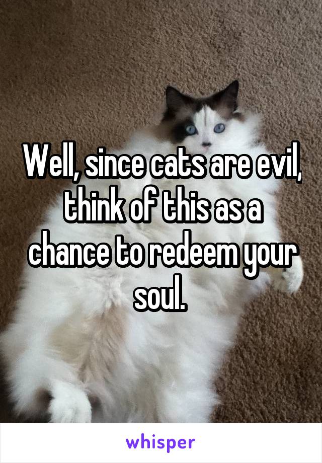 Well, since cats are evil, think of this as a chance to redeem your soul. 