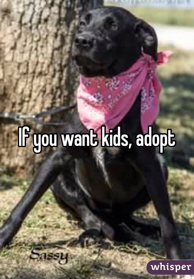 If you want kids, adopt