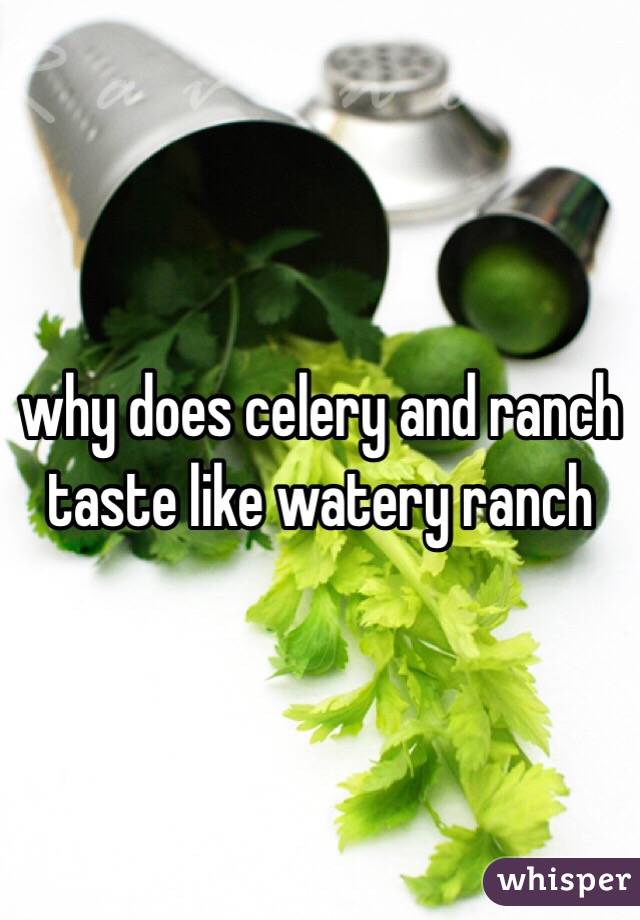 why does celery and ranch taste like watery ranch