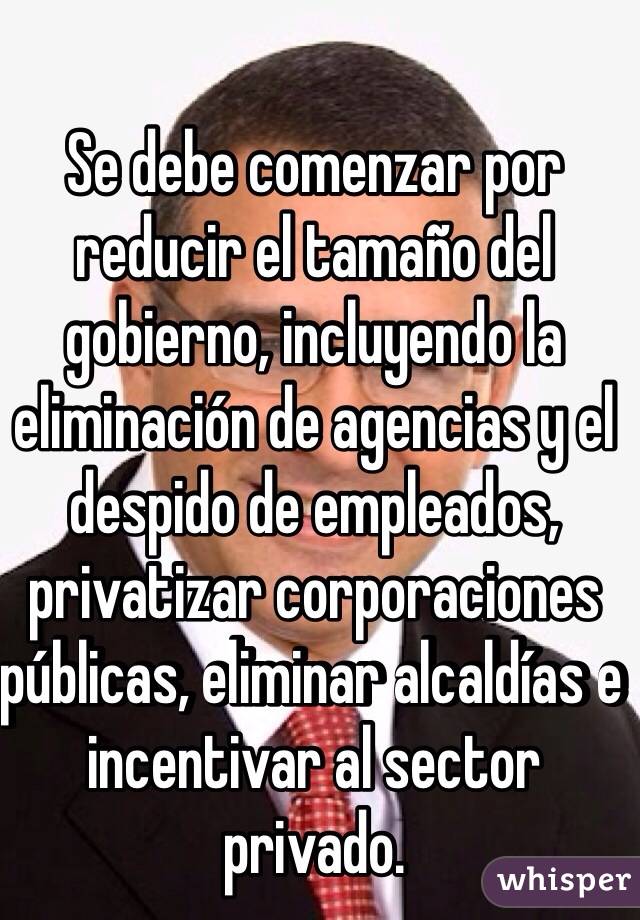 Se debe comenzar por reducir el tamaño del gobierno, incluyendo la eliminación de agencias y el despido de empleados, privatizar corporaciones públicas, eliminar alcaldías e incentivar al sector privado. 