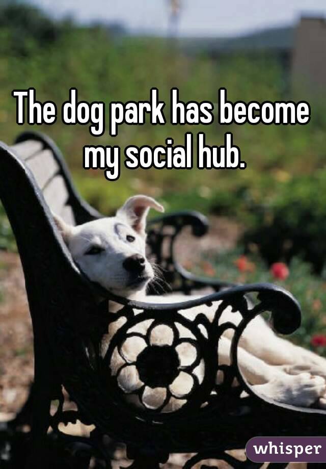 The dog park has become my social hub.