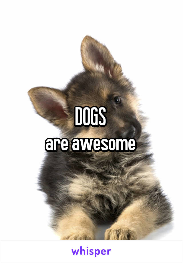 DOGS 
are awesome 