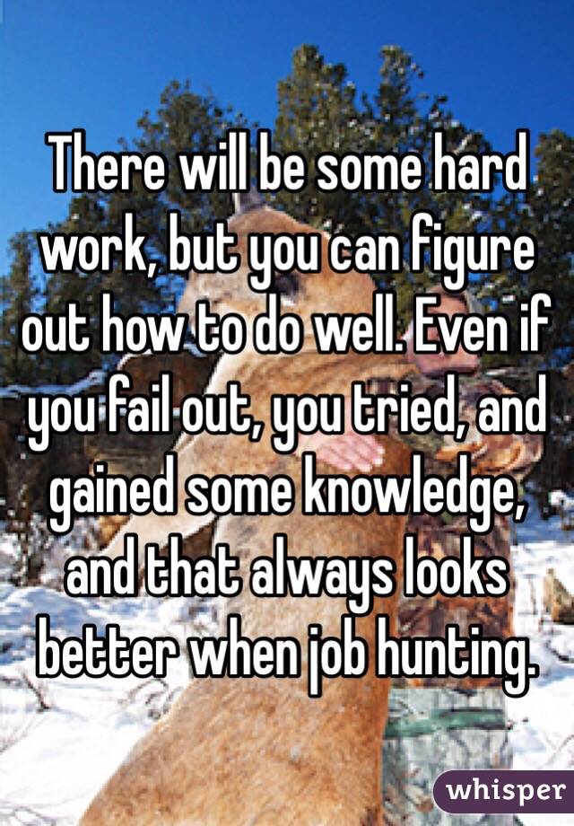There will be some hard work, but you can figure out how to do well. Even if you fail out, you tried, and gained some knowledge, and that always looks better when job hunting. 
