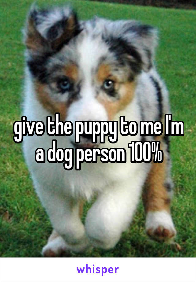 give the puppy to me I'm a dog person 100%
