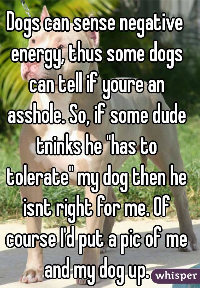 Dogs can sense negative energy, thus some dogs can tell if youre an asshole. So, if some dude tninks he "has to tolerate" my dog then he isnt right for me. Of course I'd put a pic of me and my dog up.