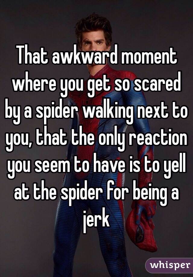 That awkward moment where you get so scared by a spider walking next to you, that the only reaction you seem to have is to yell at the spider for being a jerk