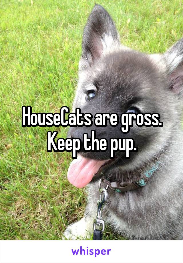 HouseCats are gross. Keep the pup.