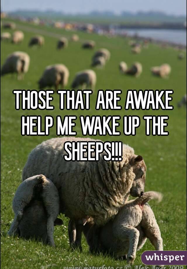 THOSE THAT ARE AWAKE HELP ME WAKE UP THE SHEEPS!!! 