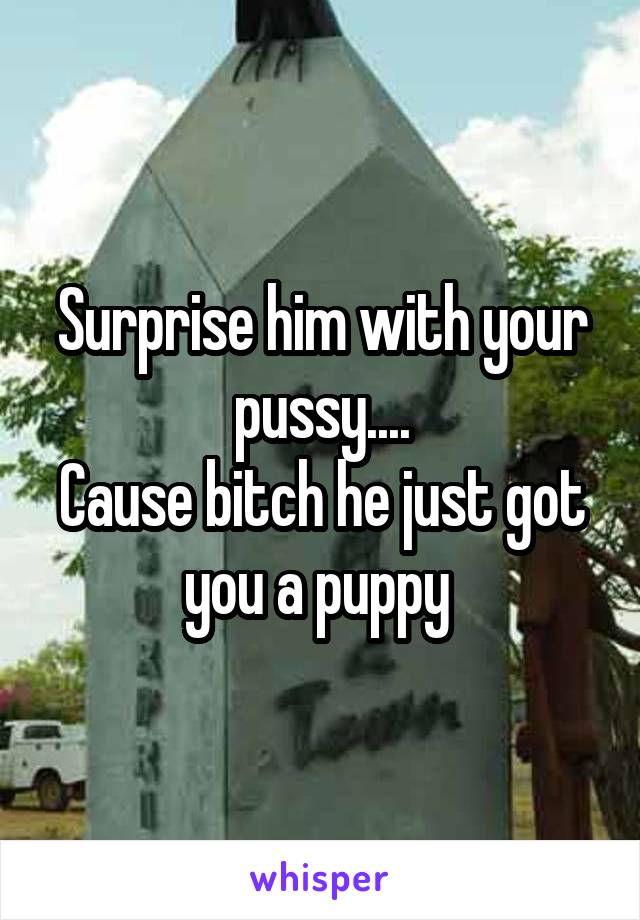Surprise him with your pussy....
Cause bitch he just got you a puppy 