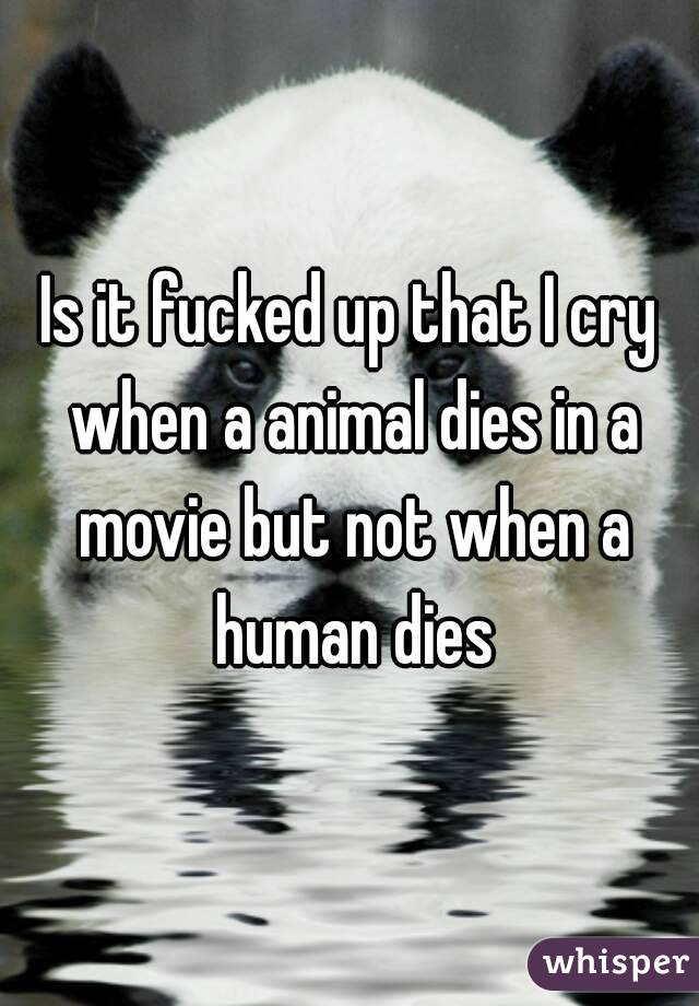 Is it fucked up that I cry when a animal dies in a movie but not when a human dies