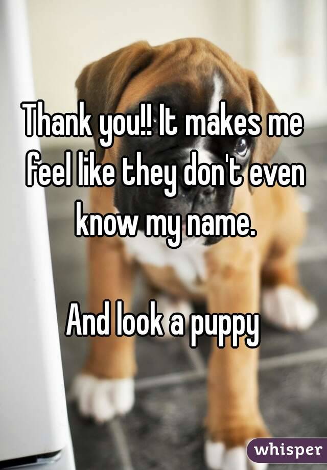 Thank you!! It makes me feel like they don't even know my name.

And look a puppy