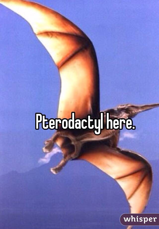 Pterodactyl here. 