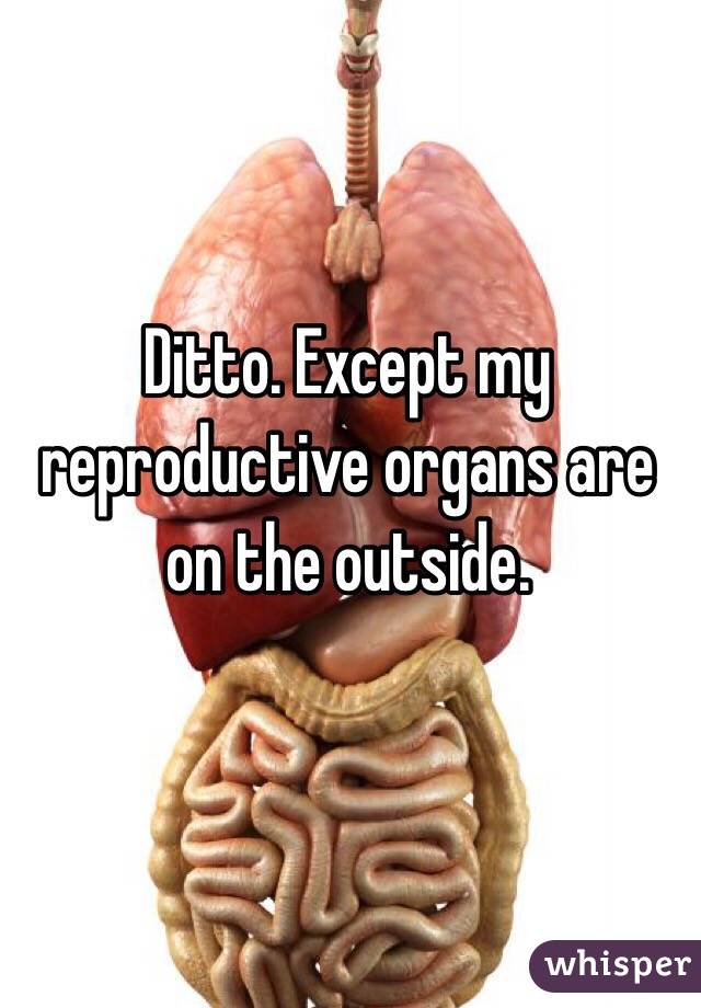 Ditto. Except my reproductive organs are on the outside. 