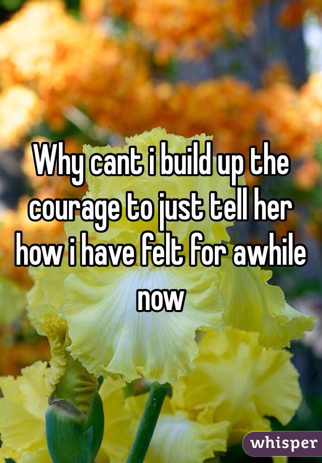 Why cant i build up the courage to just tell her how i have felt for awhile now