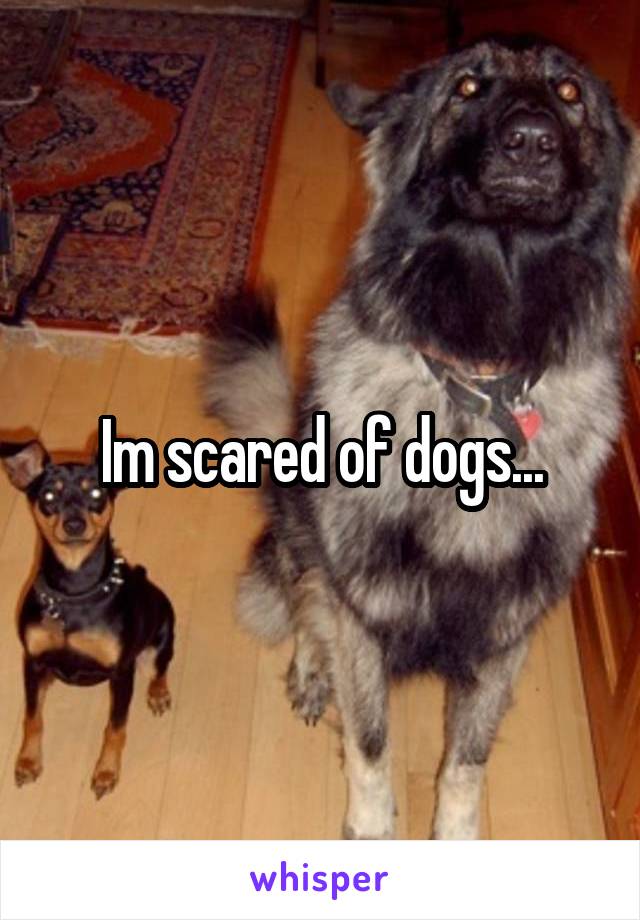 Im scared of dogs...