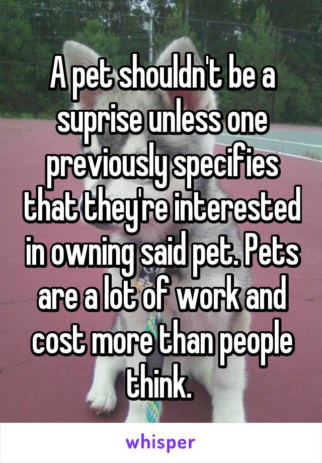 A pet shouldn't be a suprise unless one previously specifies that they're interested in owning said pet. Pets are a lot of work and cost more than people think. 