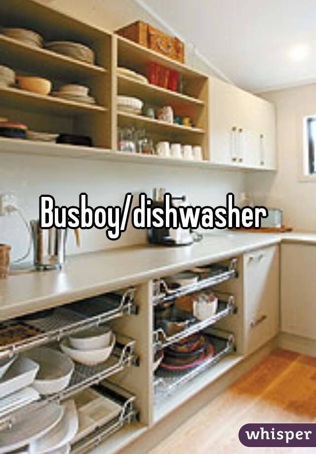 Busboy/dishwasher 