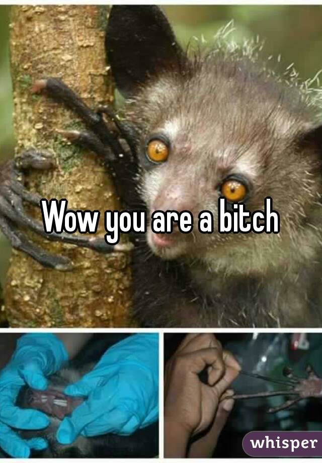 Wow you are a bitch