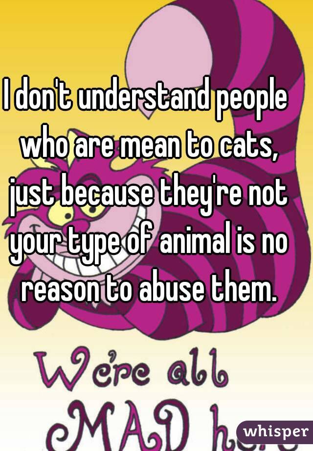 I don't understand people who are mean to cats, just because they're not your type of animal is no reason to abuse them.
