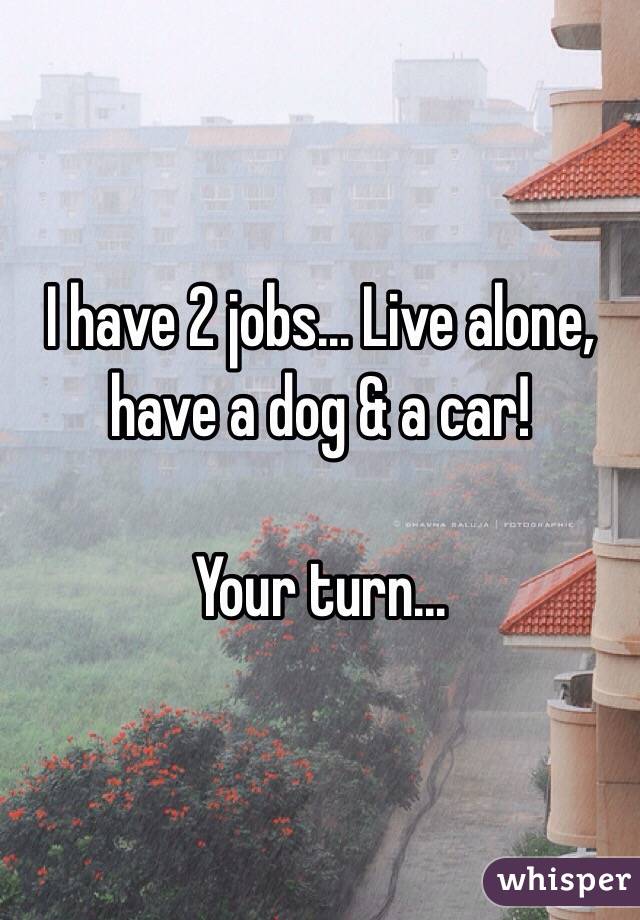 I have 2 jobs... Live alone, have a dog & a car! 

Your turn...