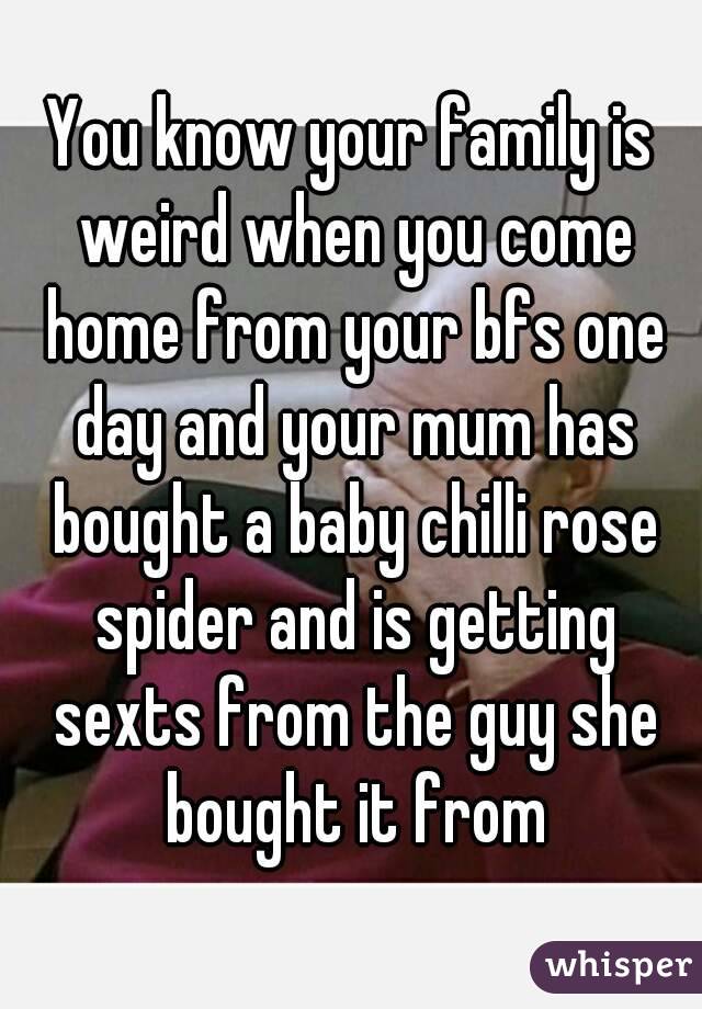 You know your family is weird when you come home from your bfs one day and your mum has bought a baby chilli rose spider and is getting sexts from the guy she bought it from